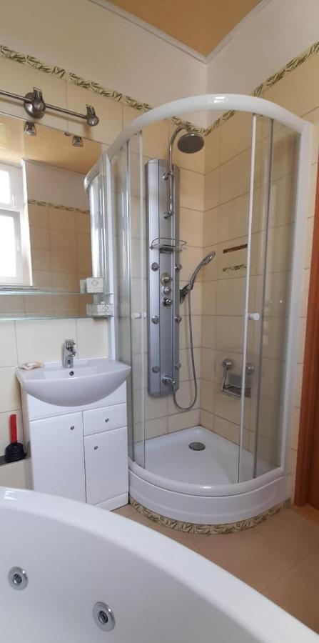 Apartament Kasztanowy Apartment Гливице Екстериор снимка